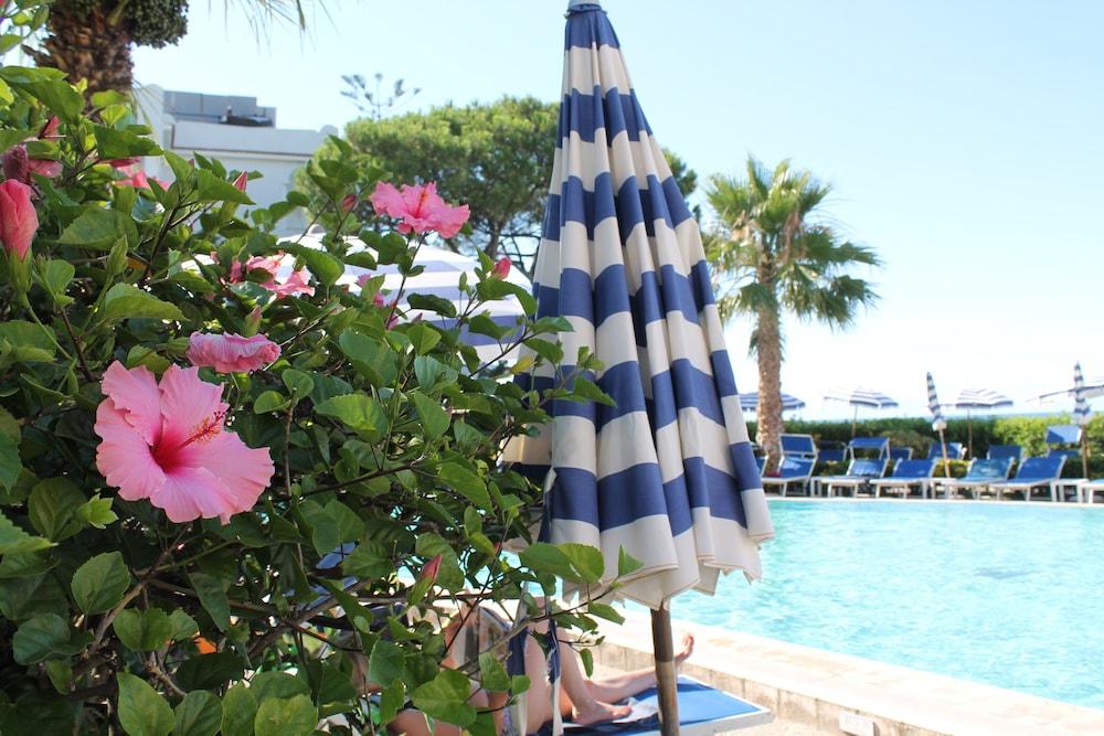 Hotel Terme Alexander Ischia Exterior photo